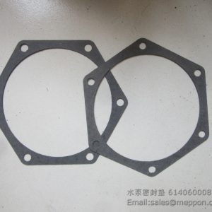 614060008 weichai water pump gasket 4110000556189 SP106051