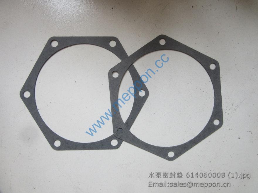 614060008 weichai water pump gasket 4110000556189 SP106051