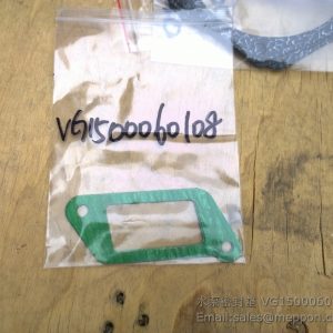 VG1500060108 SINOTRUCK WATER PUMP GASKET