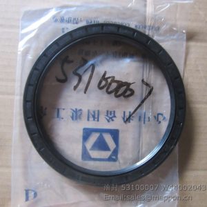 53100007 W44002043 OIL SEAL