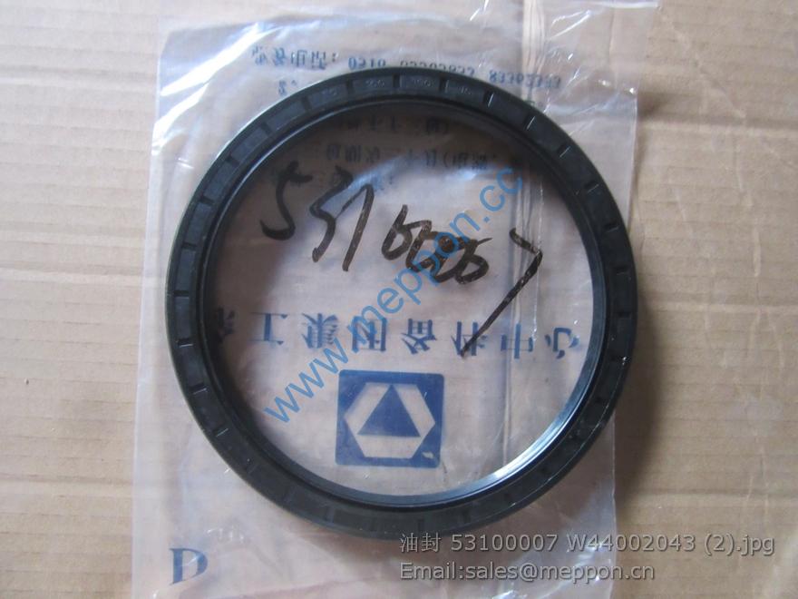 53100007 W44002043 OIL SEAL