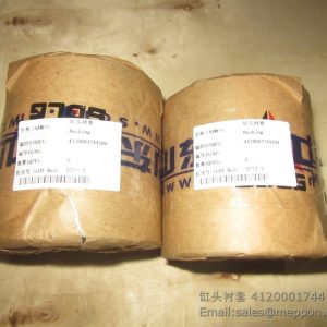 4120001744109 BUSHING SDLG