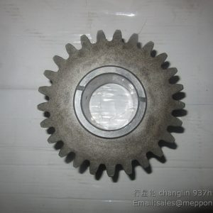 Z30E.6-10 PLANET GEAR CHANGLIN