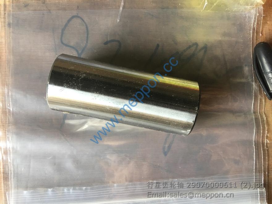 29070000611 PIN SDLG