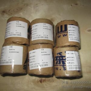 4120000553407 SDLG BUSHING