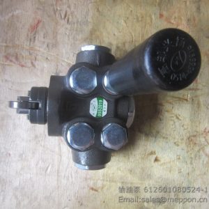 612601080524-1 612600080343 fuel trasnfer pump weichai 4110000589021 SP101890 KF2405.5-305