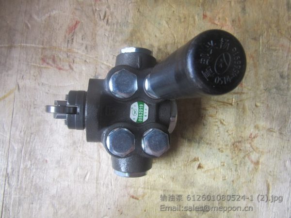 612601080524-1 612600080343 fuel trasnfer pump weichai 4110000589021 SP101890 KF2405.5-305
