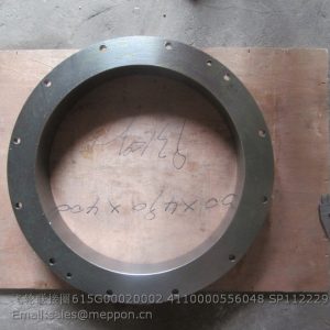 615G00020002 4110000556048 SP112229 flange