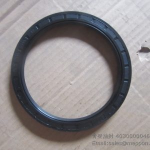 4030000046 OIL SEAL SDLG