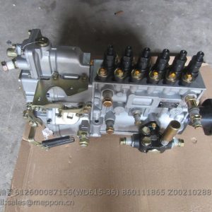 612600087156 weichai fuel injection pump 860111865
