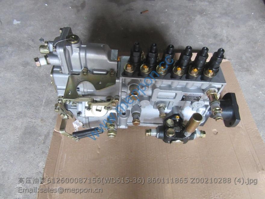 612600087156 weichai fuel injection pump 860111865