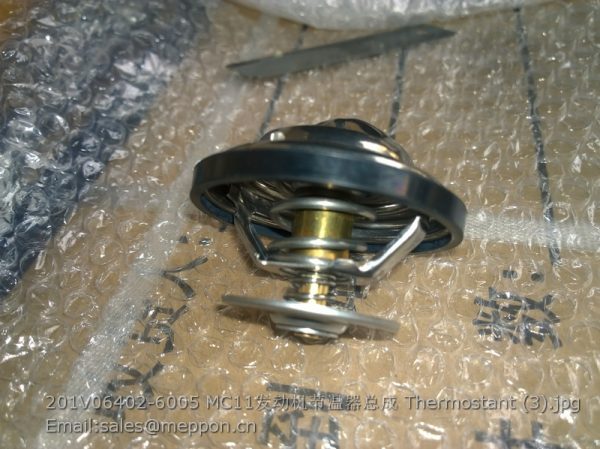 201V06402-6005 SINOTRUCK MC11 Thermostant