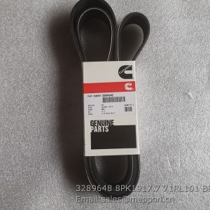 3289648 8PK1917.7 71RL101 BELT 4110000081031 SP100693 SP105531