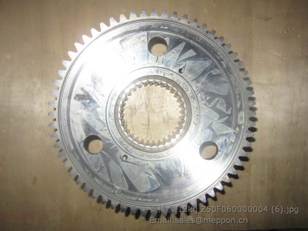 Z50F060000004 Support Disc chenggong