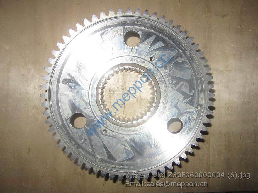 Z50F060000004 Support Disc chenggong