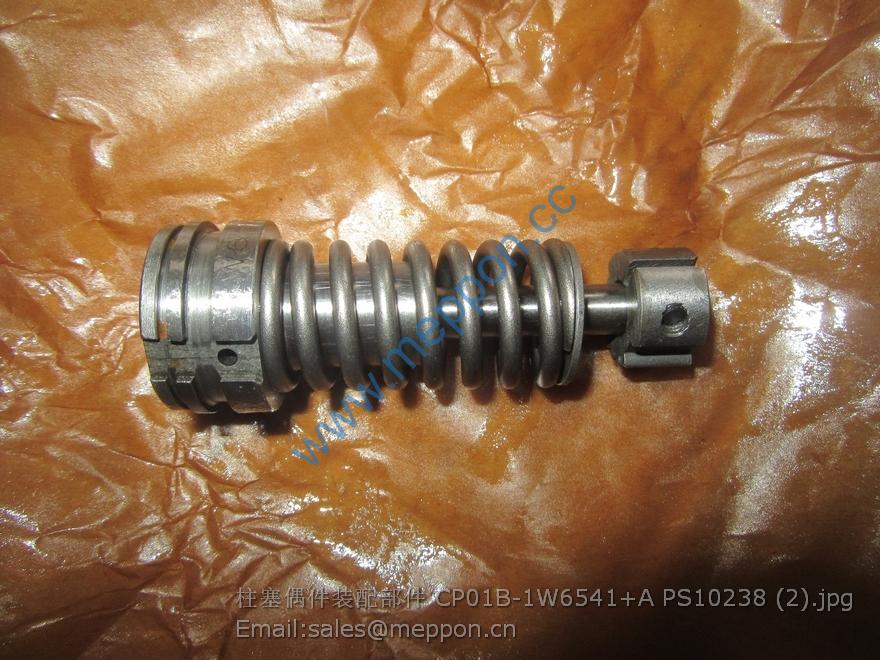 CP01B-1W6541+A PS10238 PLUNGER SP104929 7200003040 1W6541