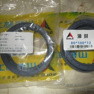 4030000049 SDLG OIL SEAL