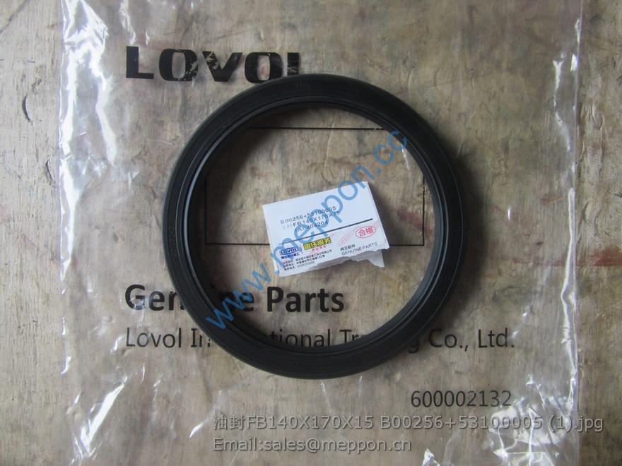 FB140X170X15 53100005 oil seal