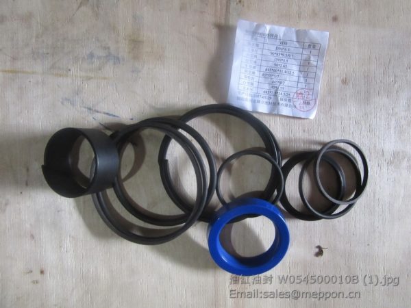 W054500010B REPAIR KITS SEM PARTS