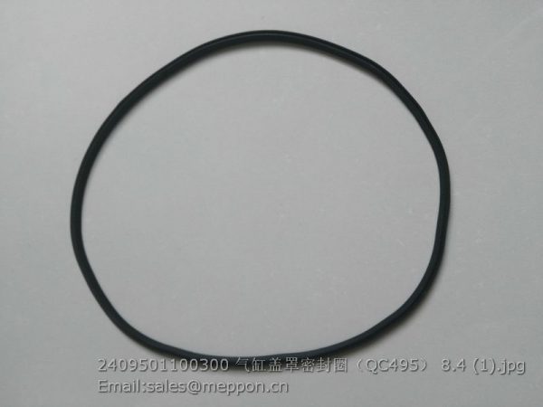 2409501100300 QC495 CYLINDER COVER SEAL RING QUANCHAI