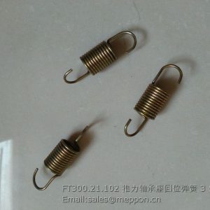 FT300.21.102 Bearing Seat Spring