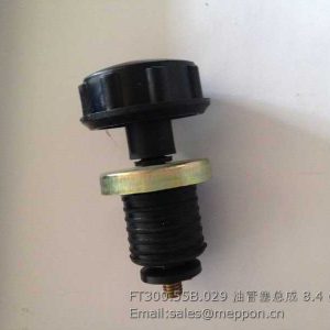 FT300.55B.029 Oil Pipe Plug