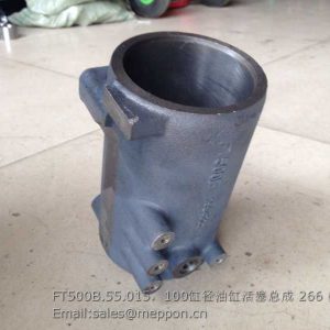 FT500B.55.015 CYLINDER PISTON