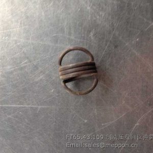 FT65.43.109 BRAKE PRESS PLATE RETURN SPRING