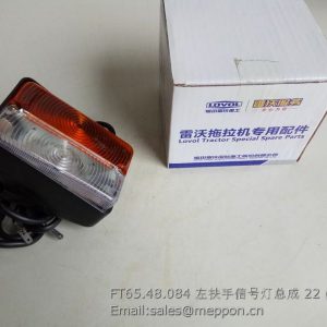 FT65.48.084 Left rail lamp assembly