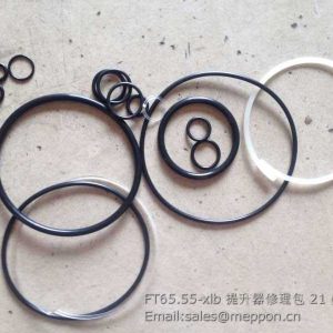 FT65.55-xlb LIFT assembly repair kits