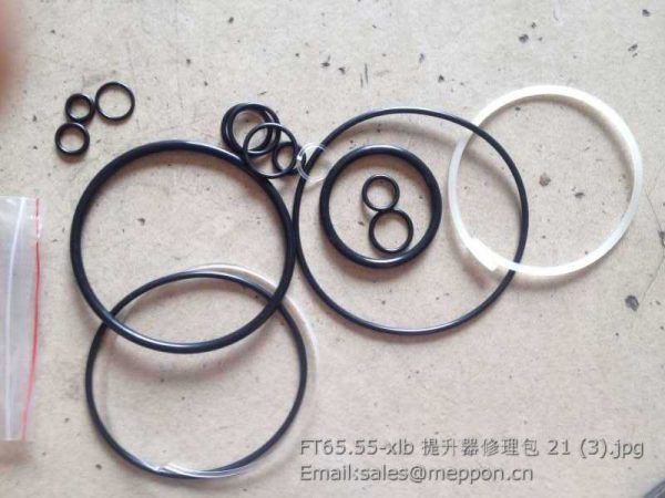 FT65.55-xlb LIFT assembly repair kits