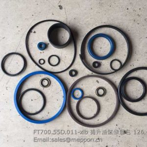 FT700.55D.011-xlb FOTON LIFT CYLINDER REPAIR KITS