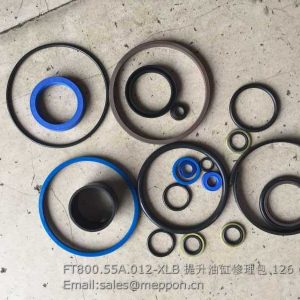 FT800.55A.012-XLB lifting cylinder repair kits