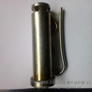FT800.55A.012 LIFTING CYLINDER ASSEMBLY
