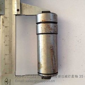 P704.31.125 PLANET GEAR SHAFT 704.31.125