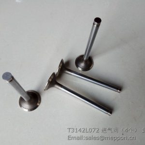 T3142L072 VALVE EXHAUST