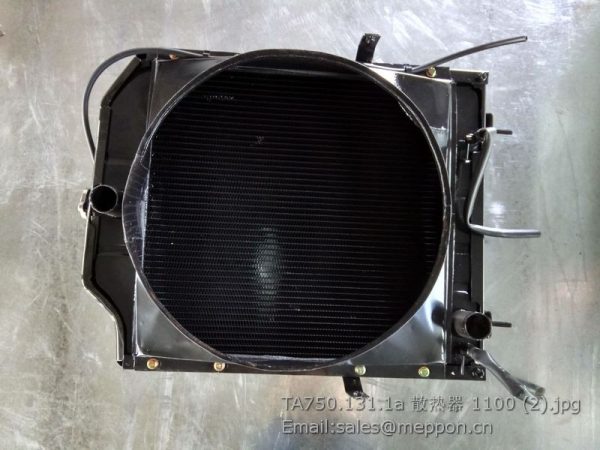 TA750.131.1a radiator assembly