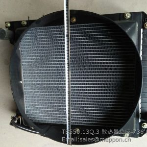 TB550.13Q.3 water radiator assembly