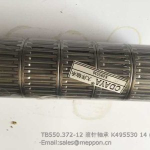 TB550.372-12 needle bearing K495530
