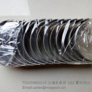 TDU5MB0010 main bearing foton engine parts