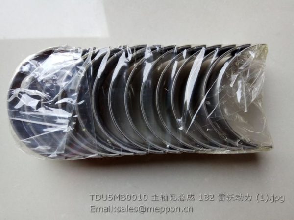 TDU5MB0010 main bearing foton engine parts