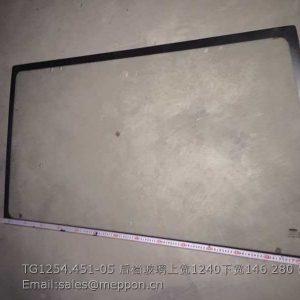 TG1254.451-05 GLASS REAR