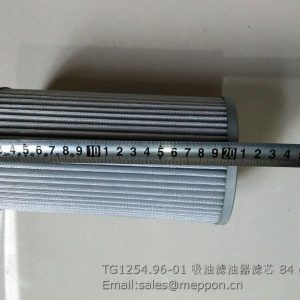 TG1254.96-01 FILTER ELEMENT LOVOL TRACTOR PARTS