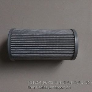 TG1254.96-02 FILTER ELEMENT