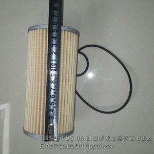 TG1254.96-06 LOVOL FILTER