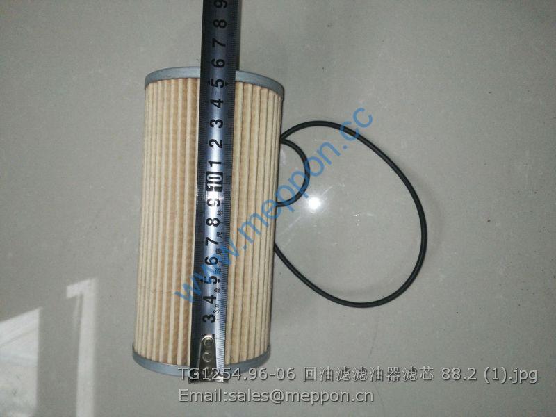 TG1254.96-06 LOVOL FILTER