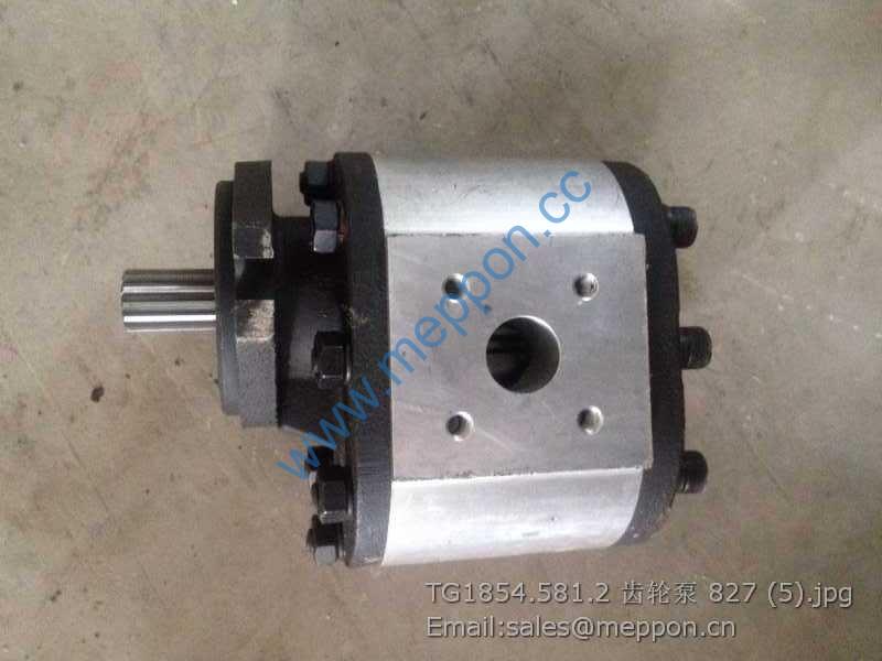TG1854.581.2 GEAR PUMP LOVOL