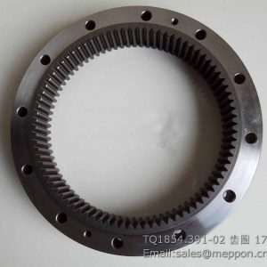 TQ1854.391-02 GEAR RING