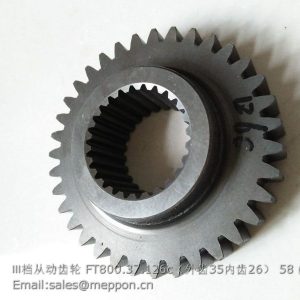 FT800.37.126c Ⅲ Gear Driven Gear