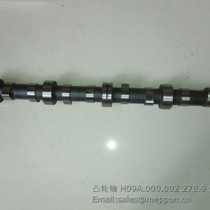 H09A.000.002 QUANCHAI TIANLI CAMSHAFT